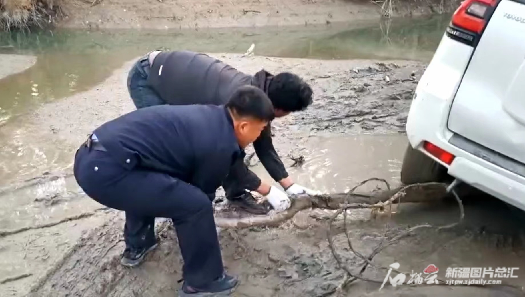 暖新闻丨深圳游客驾车赏胡杨陷入泥潭 为何还要约定“明年再来新疆”？